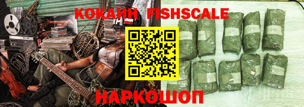 Кокаин Эквадор Партизанск