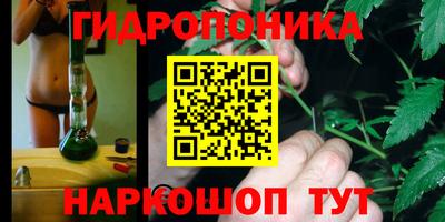 ECSTASY Рязань